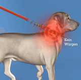 Trisaro DOGWALK - Sicherheit und Komfort für deinen Vierbeiner