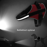 Trisaro DOGWALK - Sicherheit und Komfort für deinen Vierbeiner