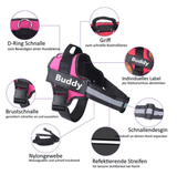 Trisaro DOGWALK - Sicherheit und Komfort für deinen Vierbeiner