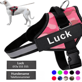 Trisaro DOGWALK - Sicherheit und Komfort für deinen Vierbeiner