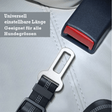 Trisaro DOGWALK - sicheres Autofahren für Deinen Hund