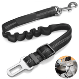 Trisaro DOGWALK - sicheres Autofahren für Deinen Hund