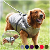Trisaro Dogwalk - Hundejacke mit Geschirr für warme Spaziergänge