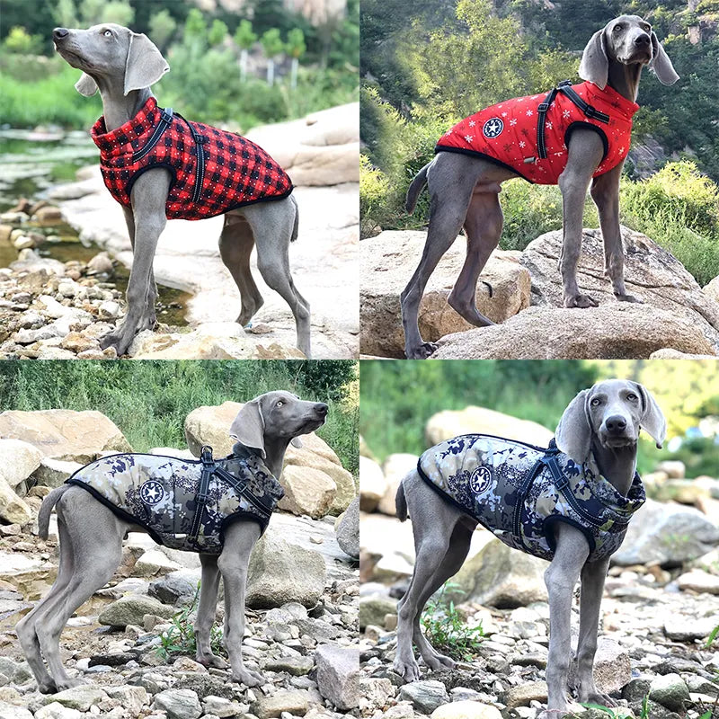 Trisaro Dogwalk - Hundejacke mit Geschirr für warme Spaziergänge