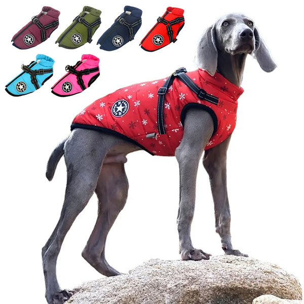 Trisaro Dogwalk - Hundejacke mit Geschirr für warme Spaziergänge