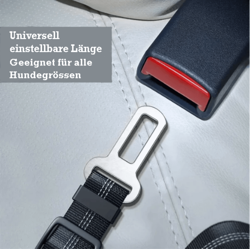 Trisaro DOGWALK - sicheres Autofahren für Deinen Hund