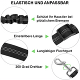 Trisaro DOGWALK - sicheres Autofahren für Deinen Hund