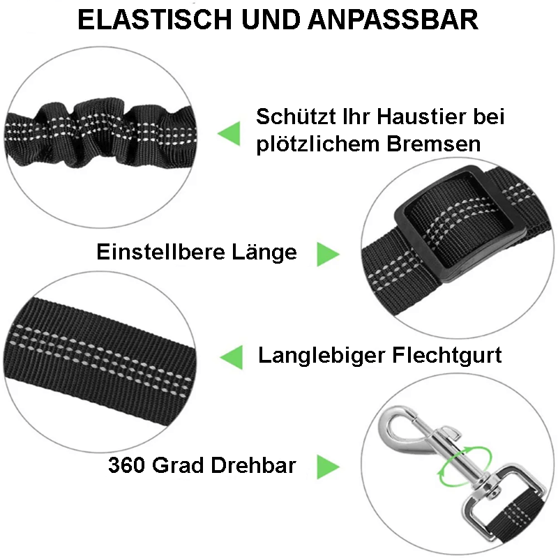 Trisaro DOGWALK - sicheres Autofahren für Deinen Hund