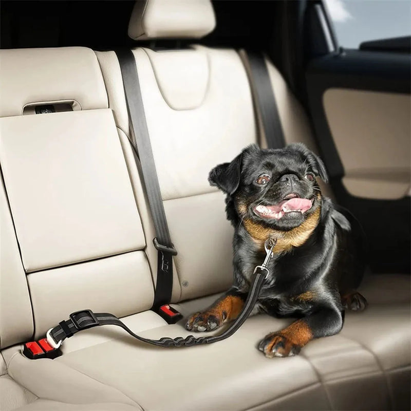 Trisaro DOGWALK - sicheres Autofahren für Deinen Hund
