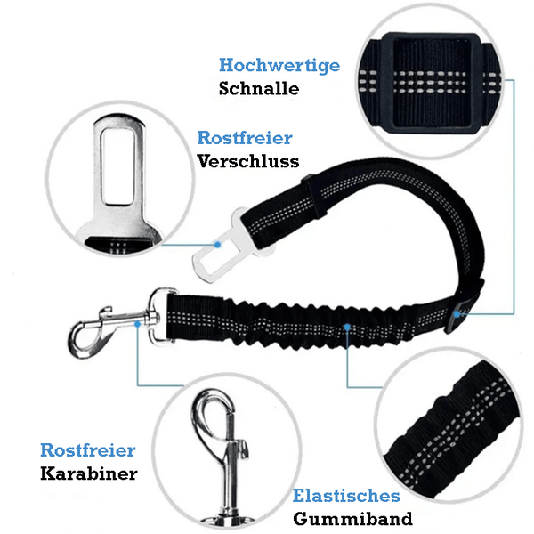 Trisaro DOGWALK - sicheres Autofahren für Deinen Hund
